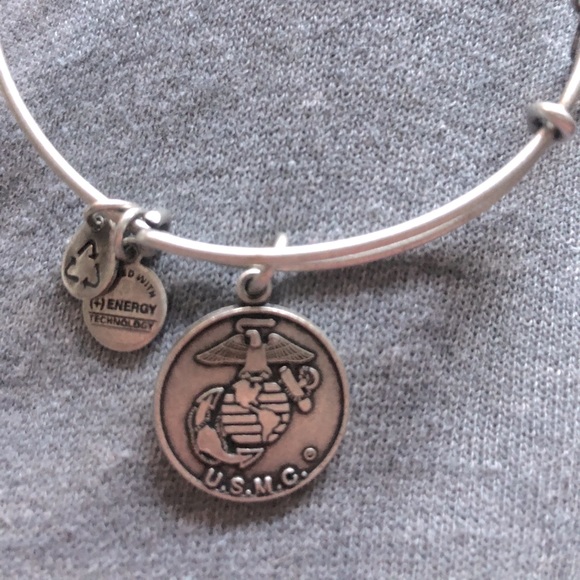 Alex and Ani Bangle - Picture 1 of 1